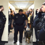 Police officers stand in formation to pay their respects to a K9 suffering from terminal cancer as she takes her last walk.