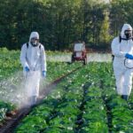 Growing Concerns Over “Forever Chemical” Pesticides and Their Impact on Children, Health, and the Environment