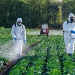 Growing Concerns Over “Forever Chemical” Pesticides and Their Impact on Children, Health, and the Environment