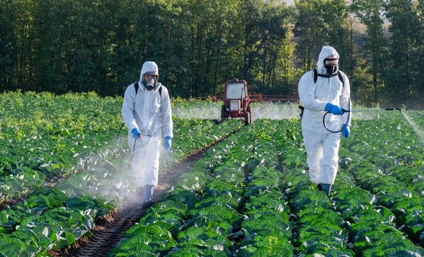 Growing Concerns Over “Forever Chemical” Pesticides and Their Impact on Children, Health, and the Environment